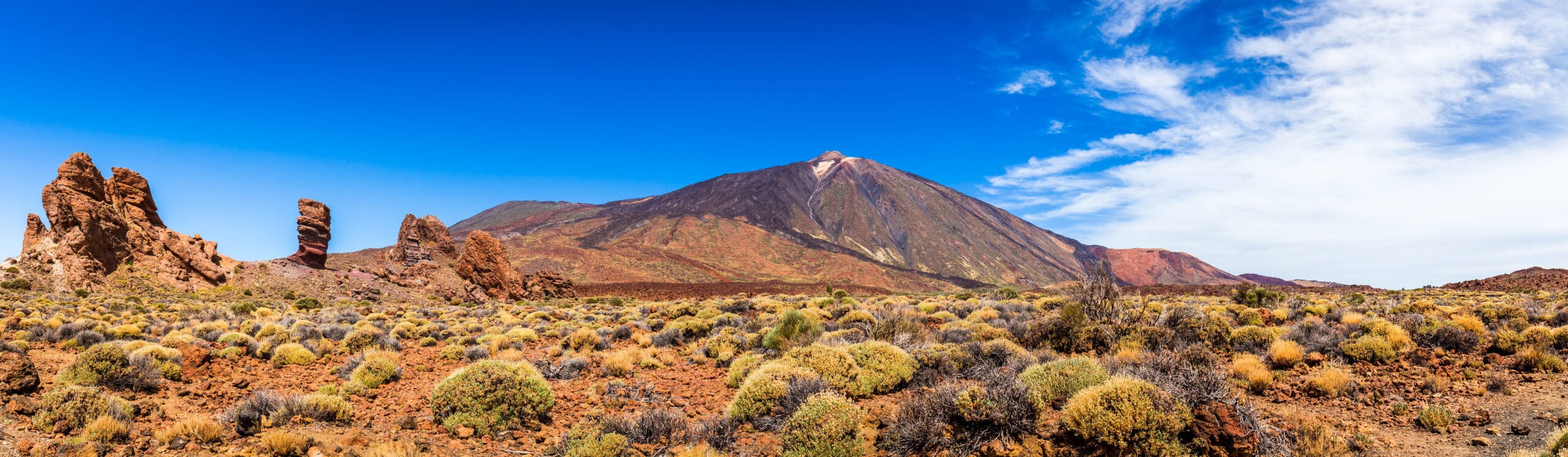 Panoramica Parque Nacional del Teide