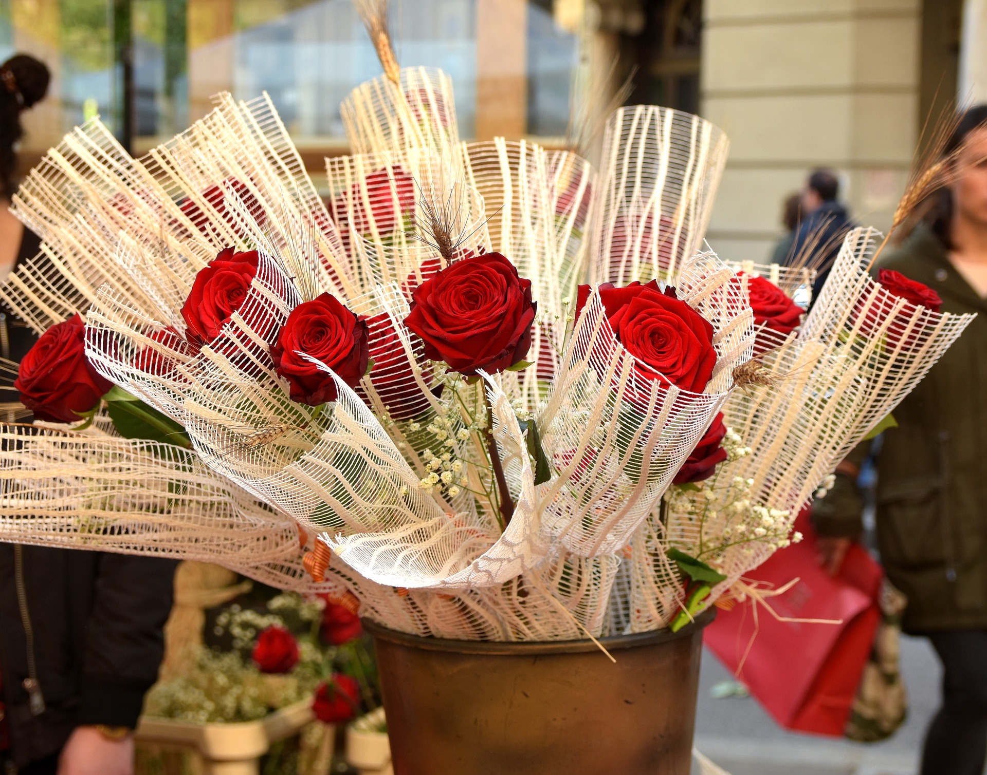 Red roses of Sant Jordi Day