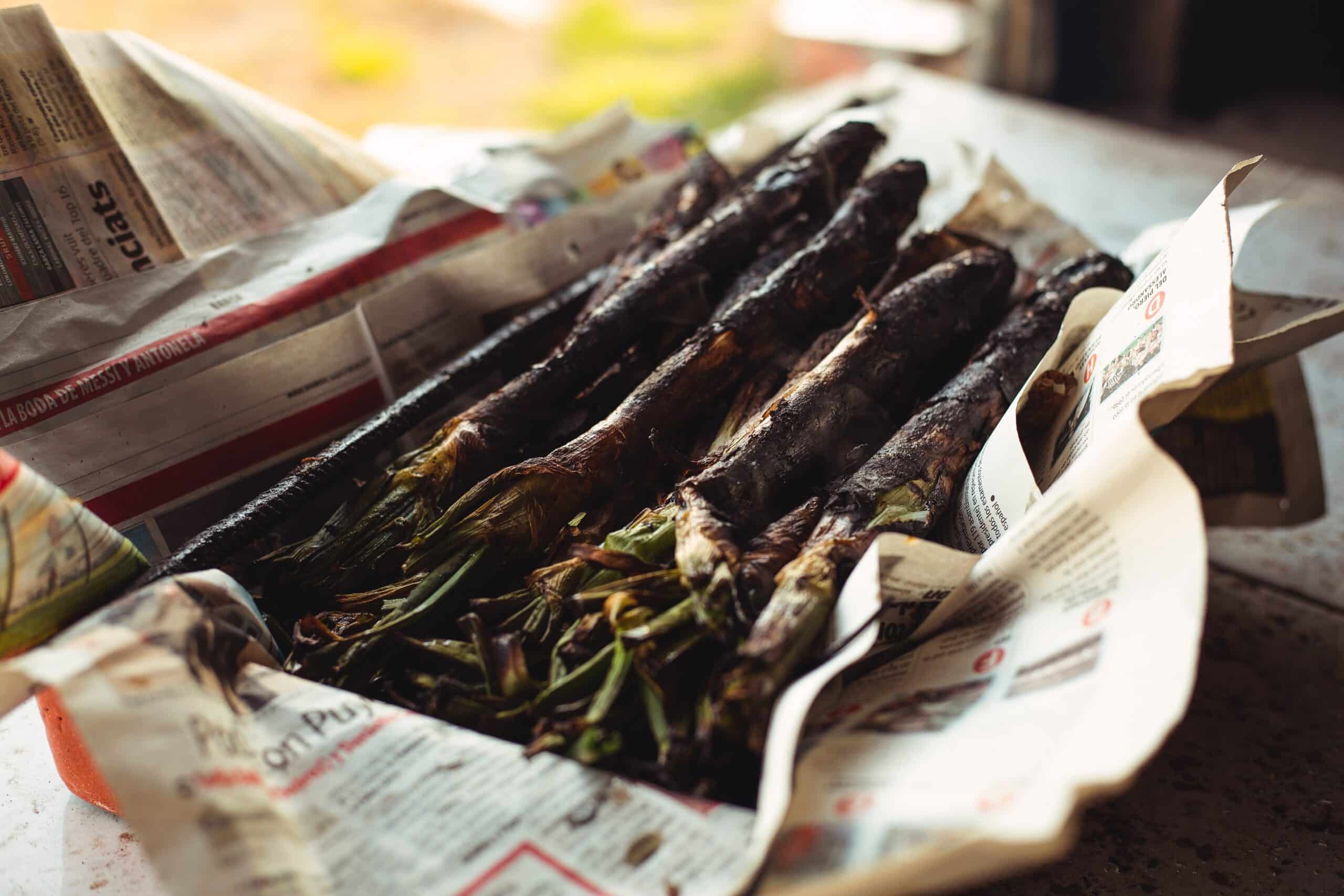 Ponte el babero y ¡a comer calçots!