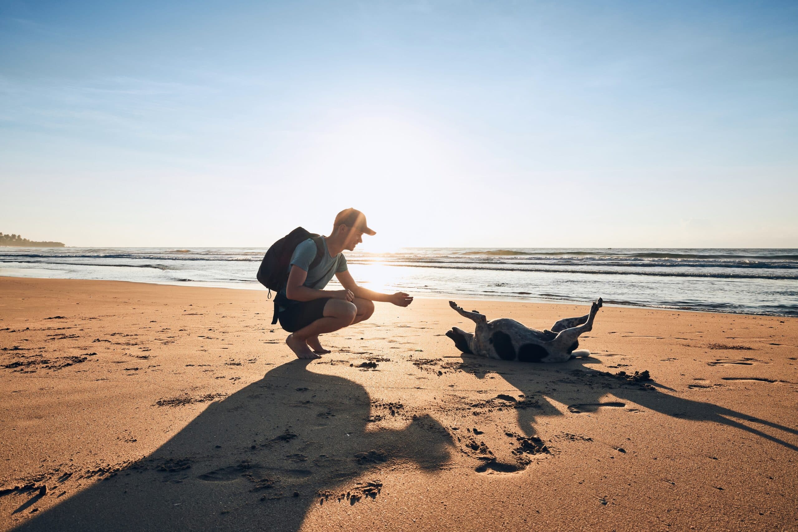 Dogfriendly beach in Barcelona