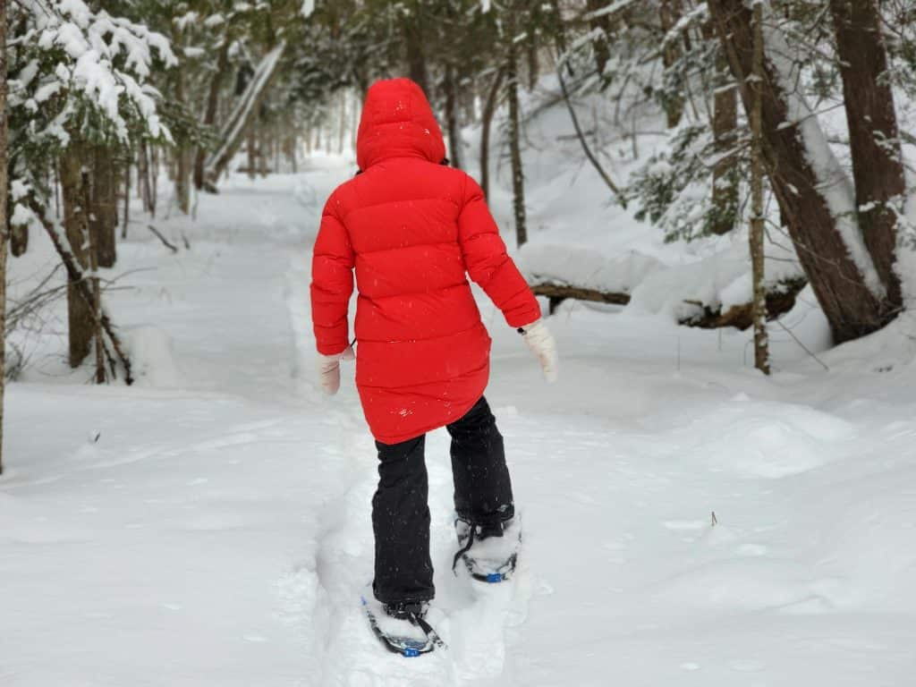 Persona con chaqueta de nieve roja, haciendo senderismo con raquetas de nieve, en una montaña nevada