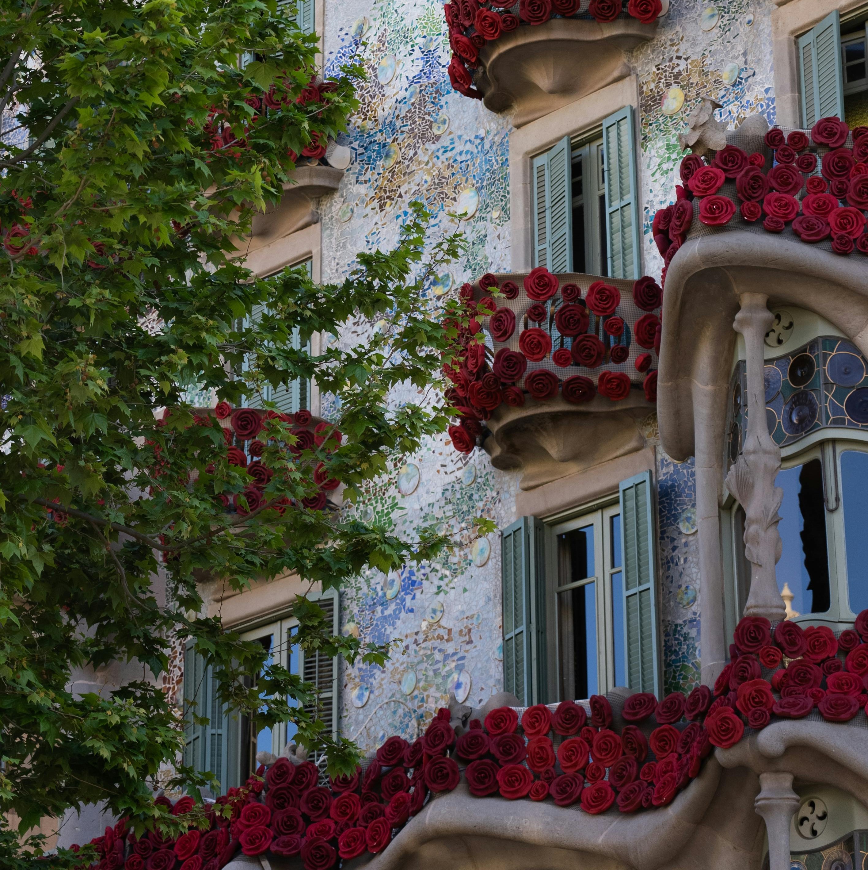 Sant Jordi 2025