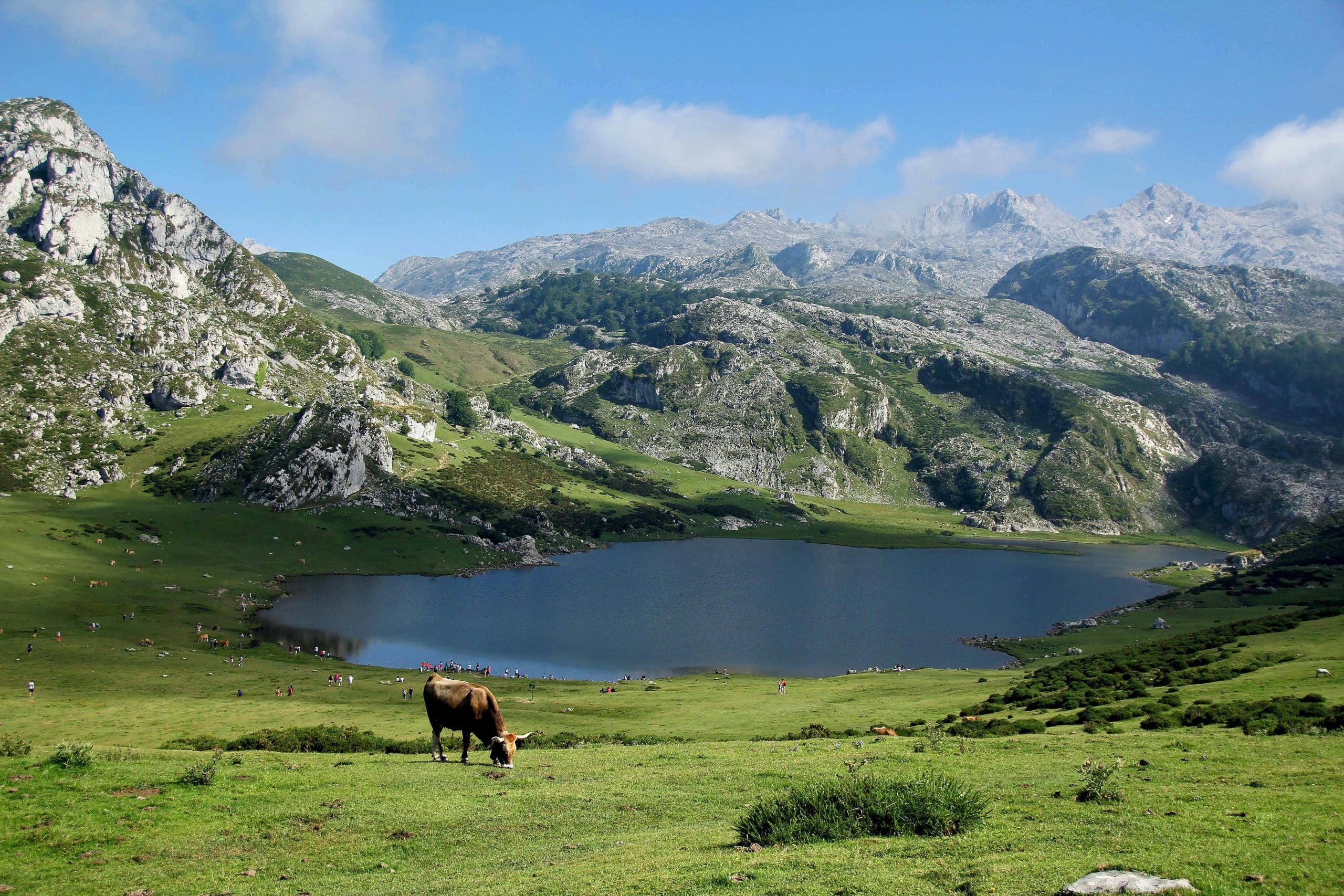 Asturias scenery, mountains, lake and cows.