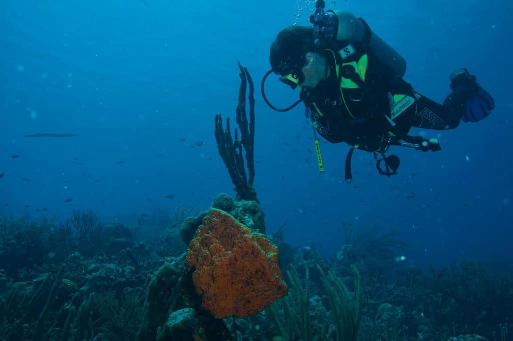 persona buceando en el fondo marino