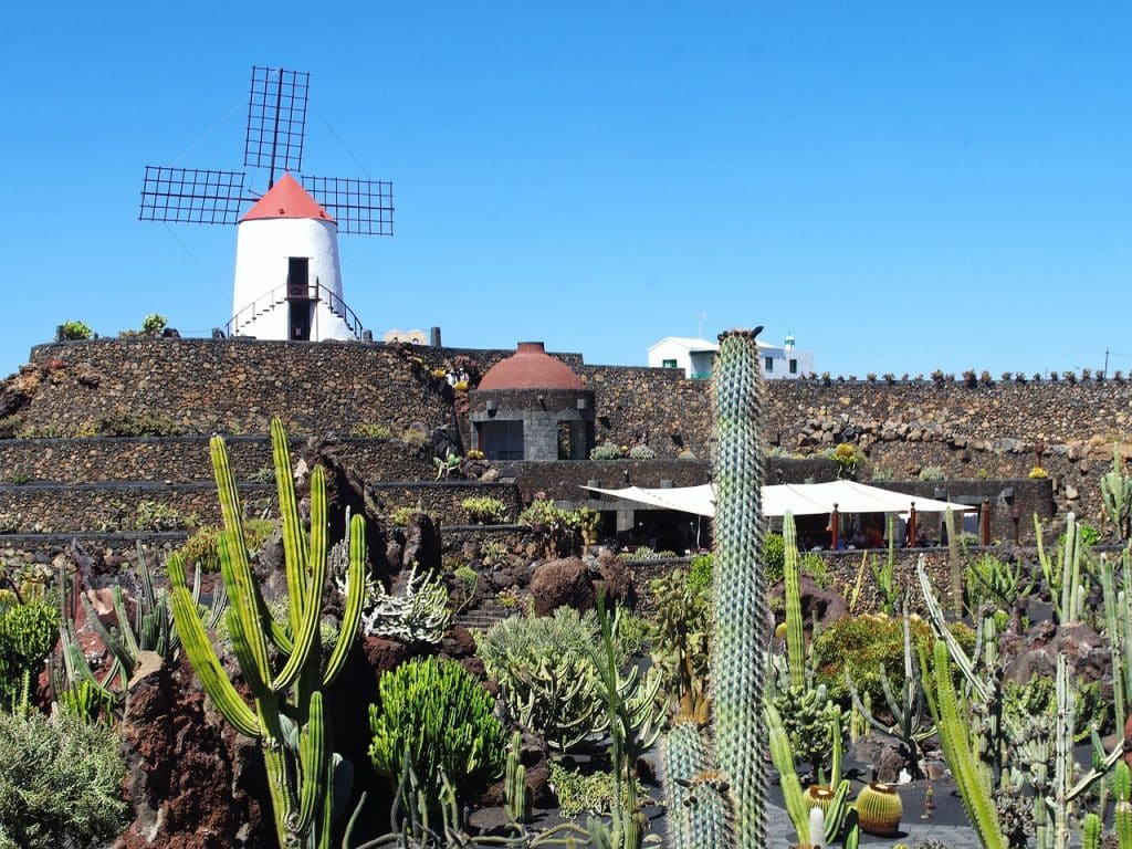 landscape of lanzarote