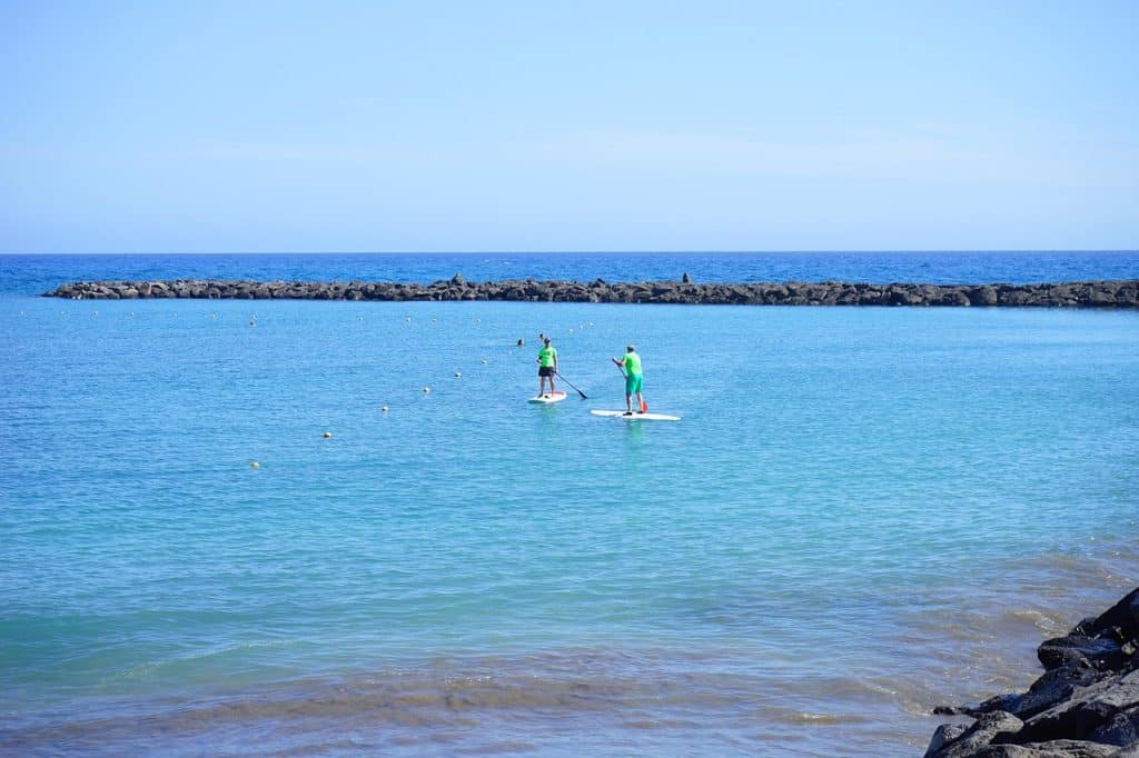 personas haciendo paddle surf