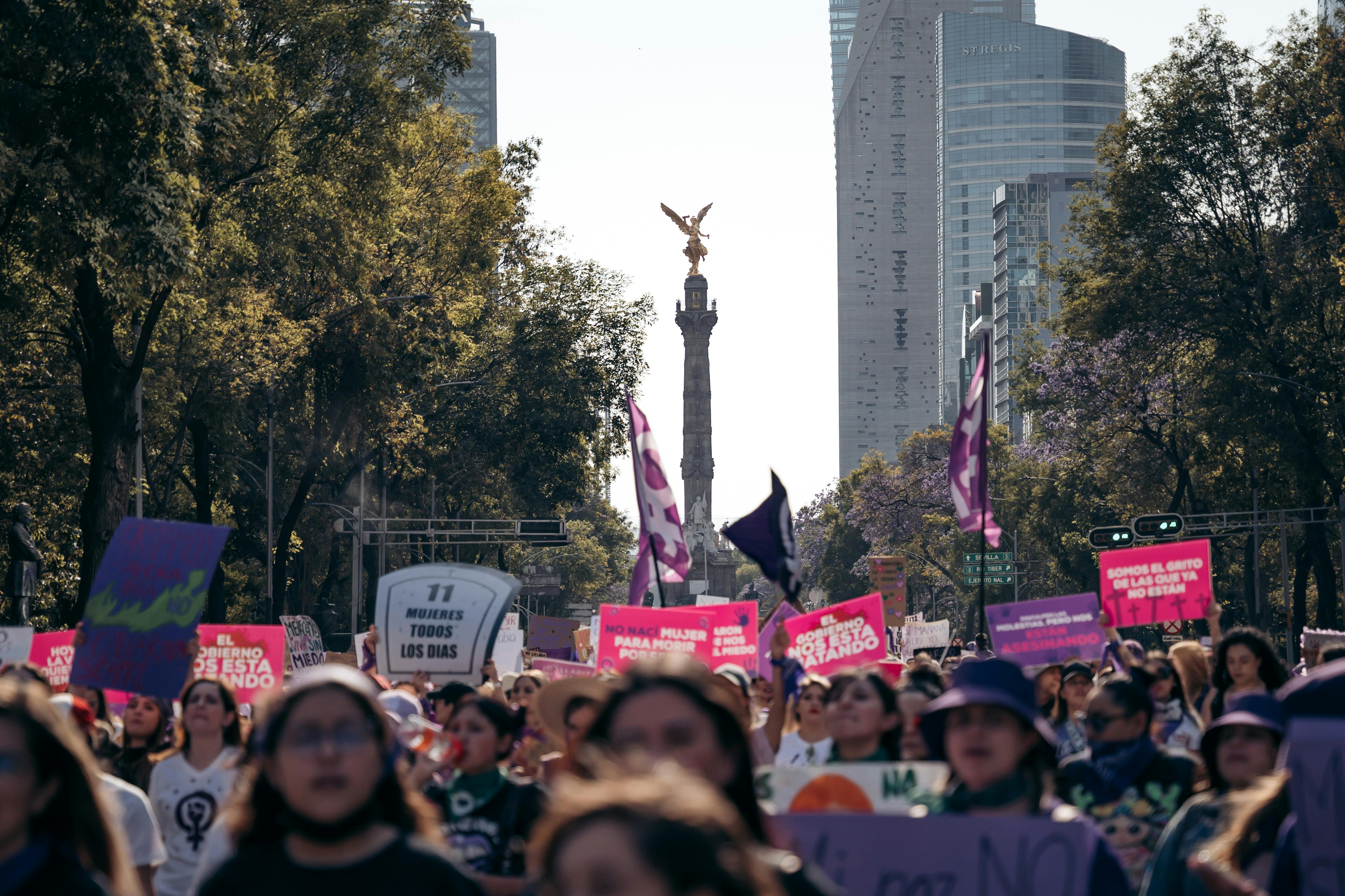 Aerobús disruptions: 25N demonstration